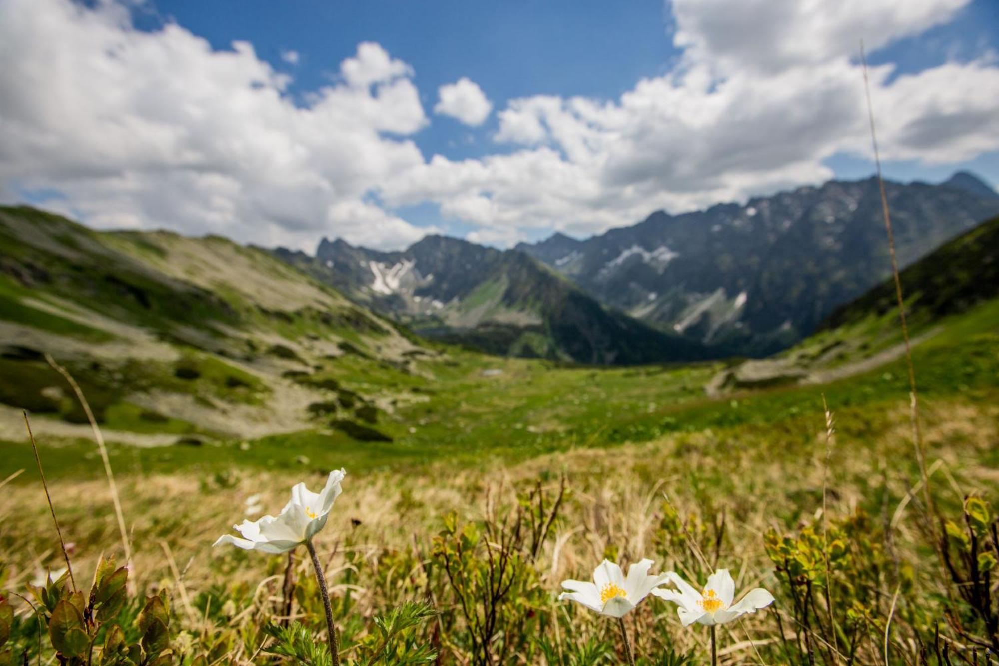 Apartmany Anicka Ubytovanie Region Liptovsky Mikulas Liptovske Matiasovce Dış mekan fotoğraf